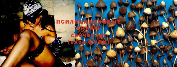 ПСИЛОЦИБИНОВЫЕ ГРИБЫ Армянск