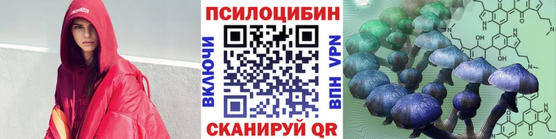 наркошоп Тихорецк Галлюциногенные грибы Psilocybe